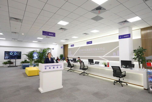 鏡觀回響 從一個區，看長三角更高水平開放下的貿易咨詢服務